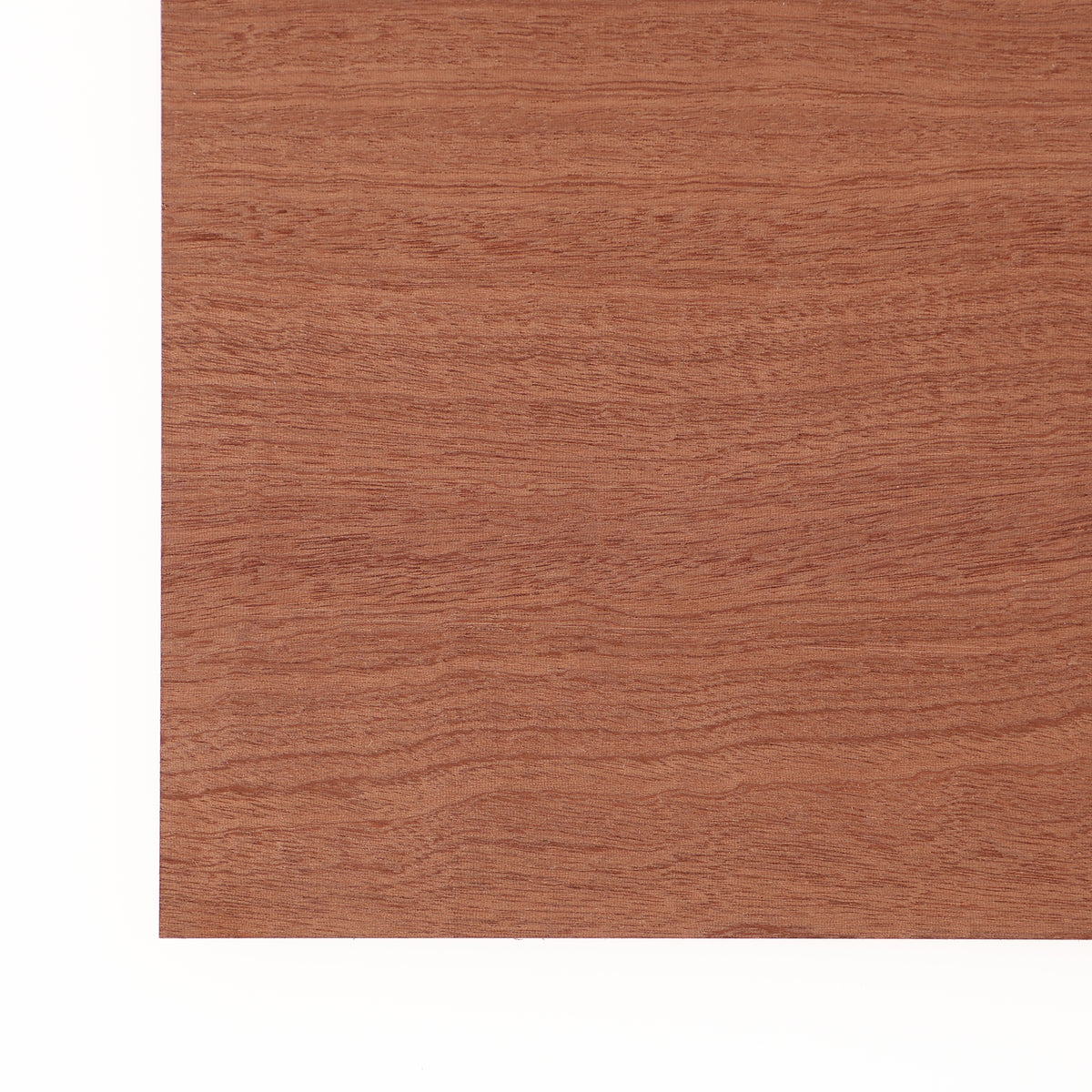 1/4” Sapele product photo 2