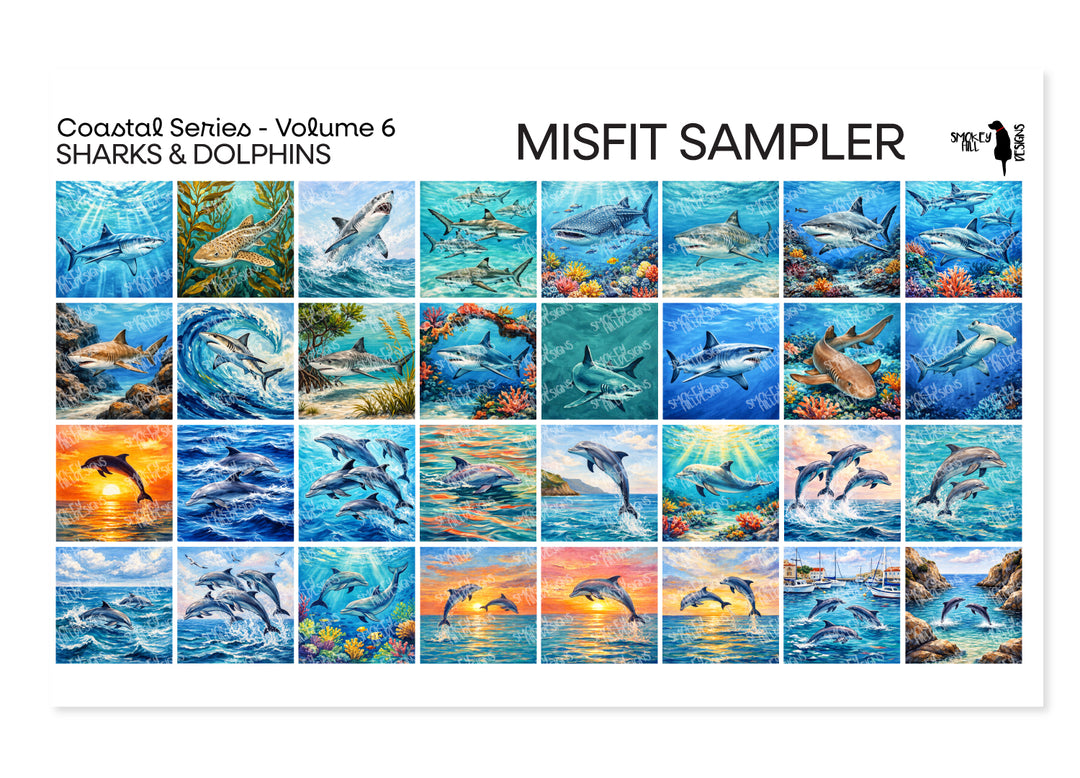 Misfit PatternPly® Transparent Sharks and Dolphins Sampler