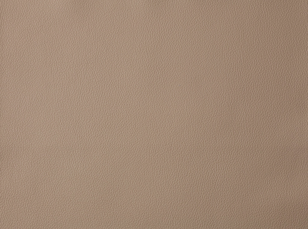 Taupe Leather