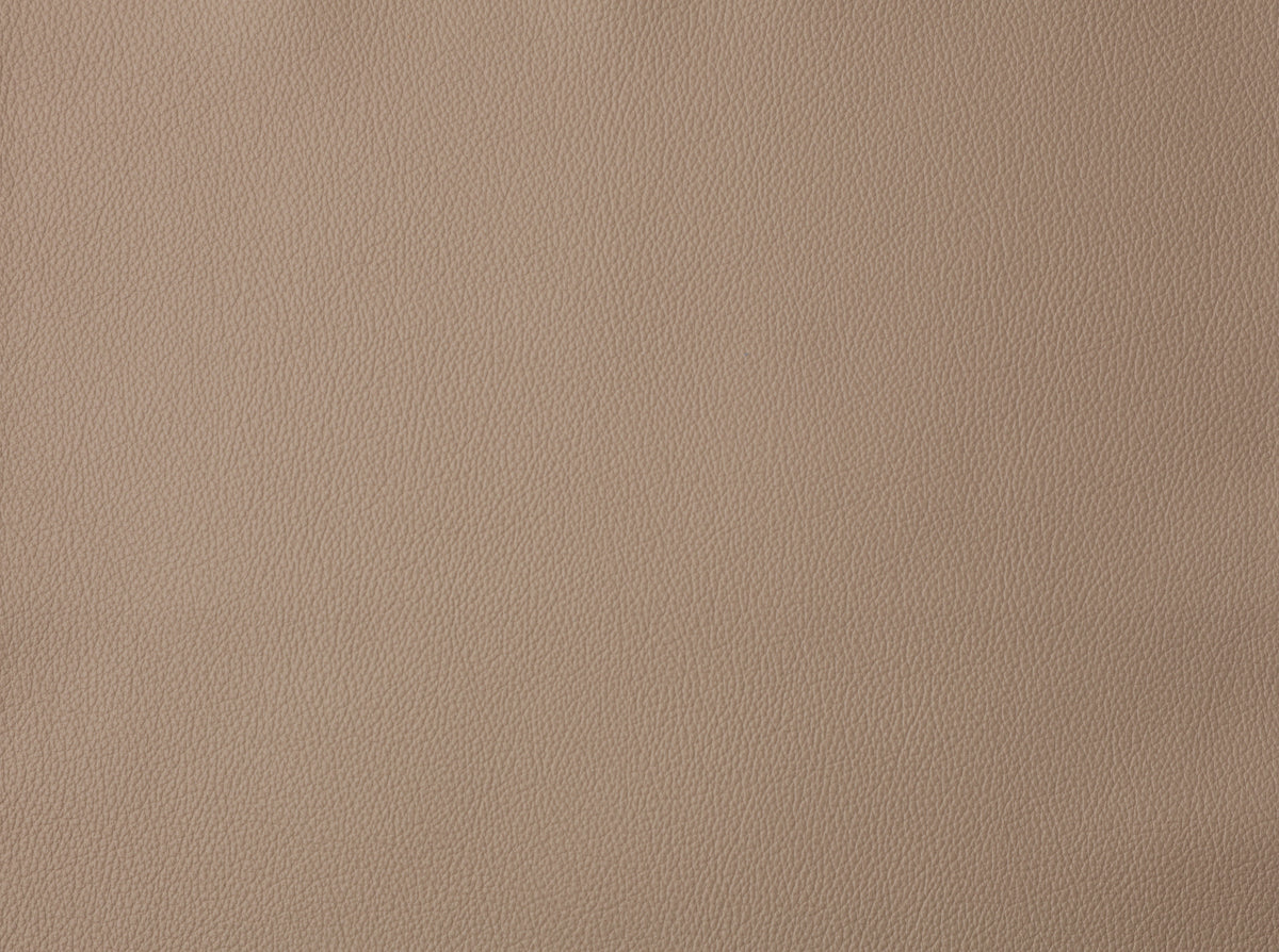 Taupe Leather