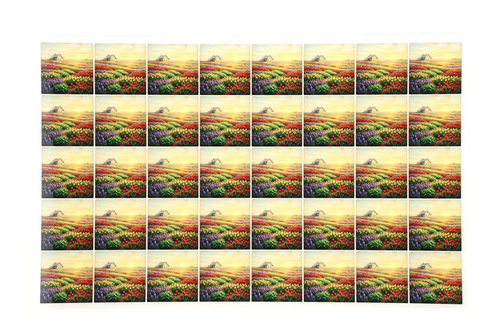 PatternPly® Transparent Sunrise Flower Fields Extra Small