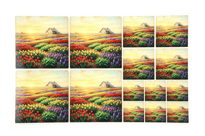 PatternPly® Transparent Sunrise Flower Fields 3 Sizes