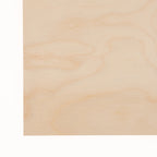 1/16” White Birch product photo 2