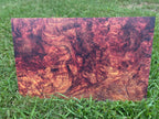 PatternPly® Full Coverage Burl sheet showing the pattern