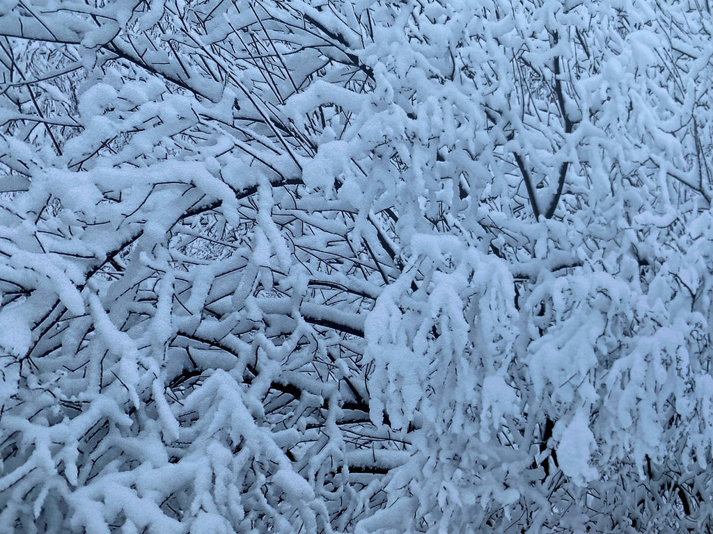 PatternPly® Full Coverage Snowy Branches sheet showing the pattern