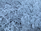 PatternPly® Full Coverage Snowy Branches sheet showing the pattern
