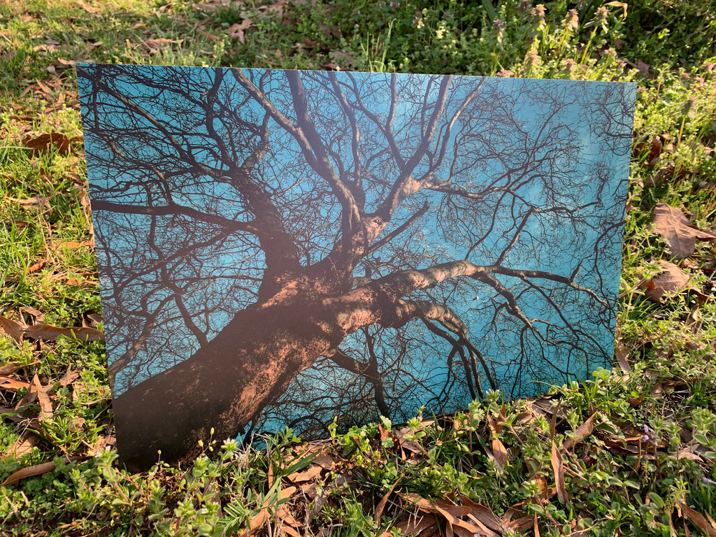PatternPly® Full Coverage Tree product photo 3