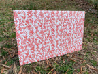 PatternPly® Full Coverage Coral product photo 3