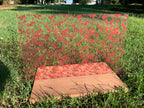 PatternPly® Transparent Blood Splatter sheet showing the pattern