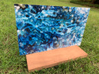 PatternPly® Full Coverage Blue Evergreen product photo 3