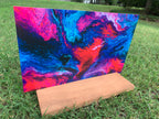 PatternPly® Full Coverage Pop Rock product photo 3
