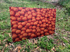 PatternPly® Full Coverage Basketballs product photo 3