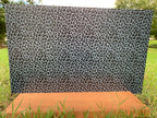 PatternPly® Full Coverage Gray and Black Leopard product photo 3
