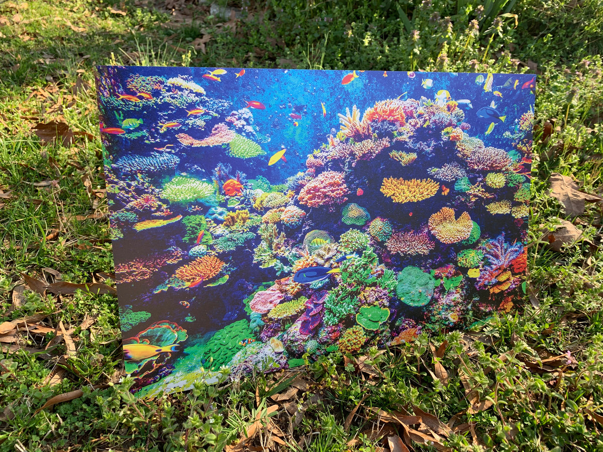 PatternPly® Full Coverage Coral Reef product photo 3