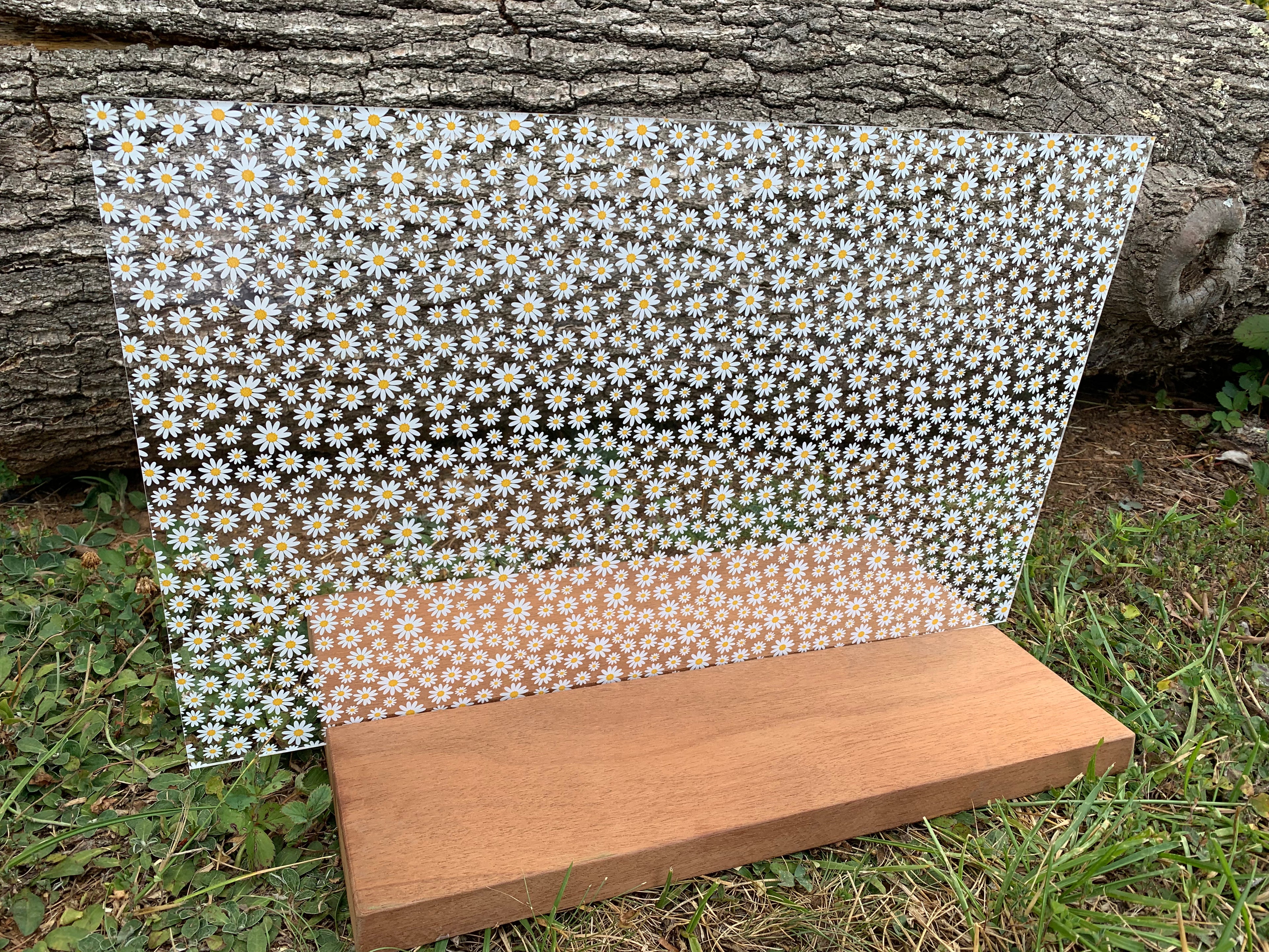 PatternPly® Scattered Daisies product photo 3