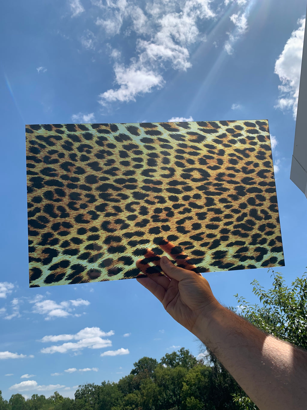 PatternPly® Transparent Realistic Leopard sheet showing the pattern