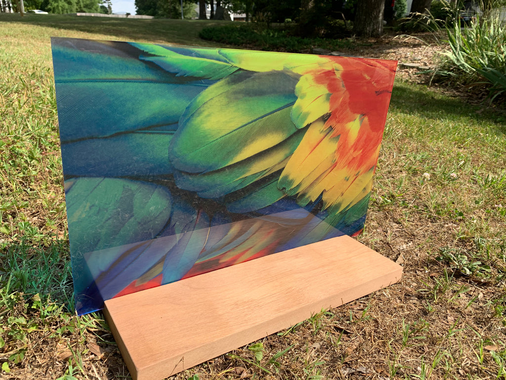 PatternPly® Transparent Parrot product photo 2