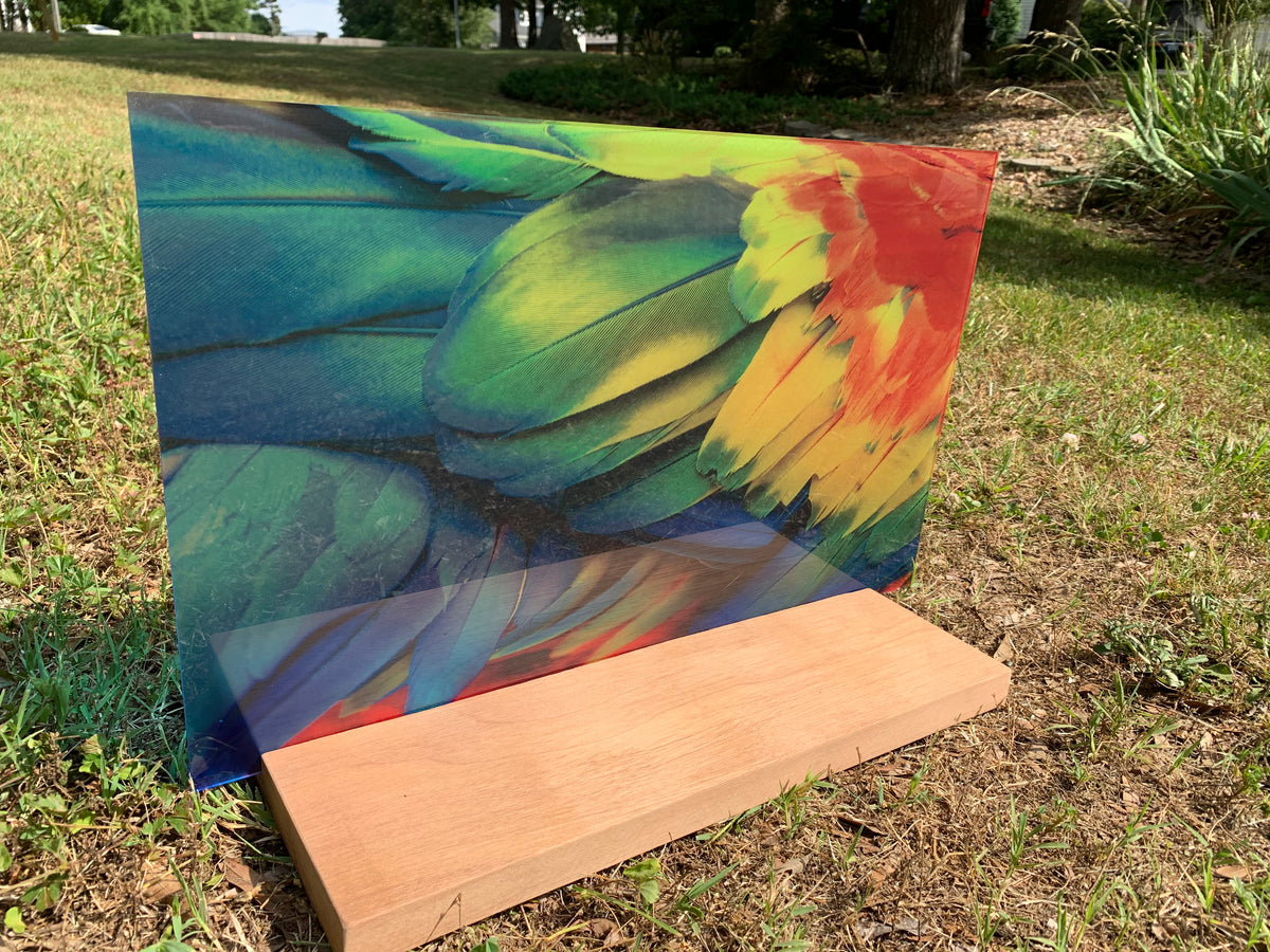 PatternPly® Transparent Parrot product photo 2