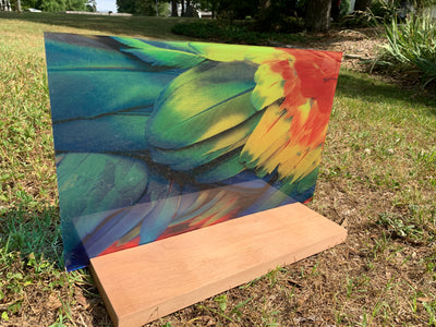 PatternPly® Acrylic Transparent Parrot