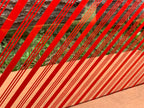 PatternPly® Scattered Red Candy Cane sheet showing the pattern