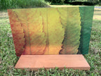 PatternPly® Transparent Leaf Gradient sheet showing the pattern