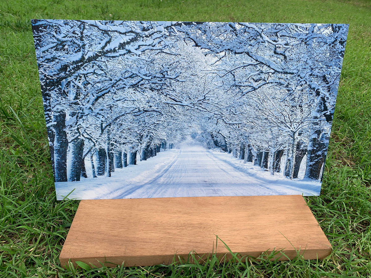 PatternPly® Full Coverage Snowy Trees sheet showing the pattern