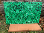 PatternPly® Full Coverage Easter Grass product photo 3