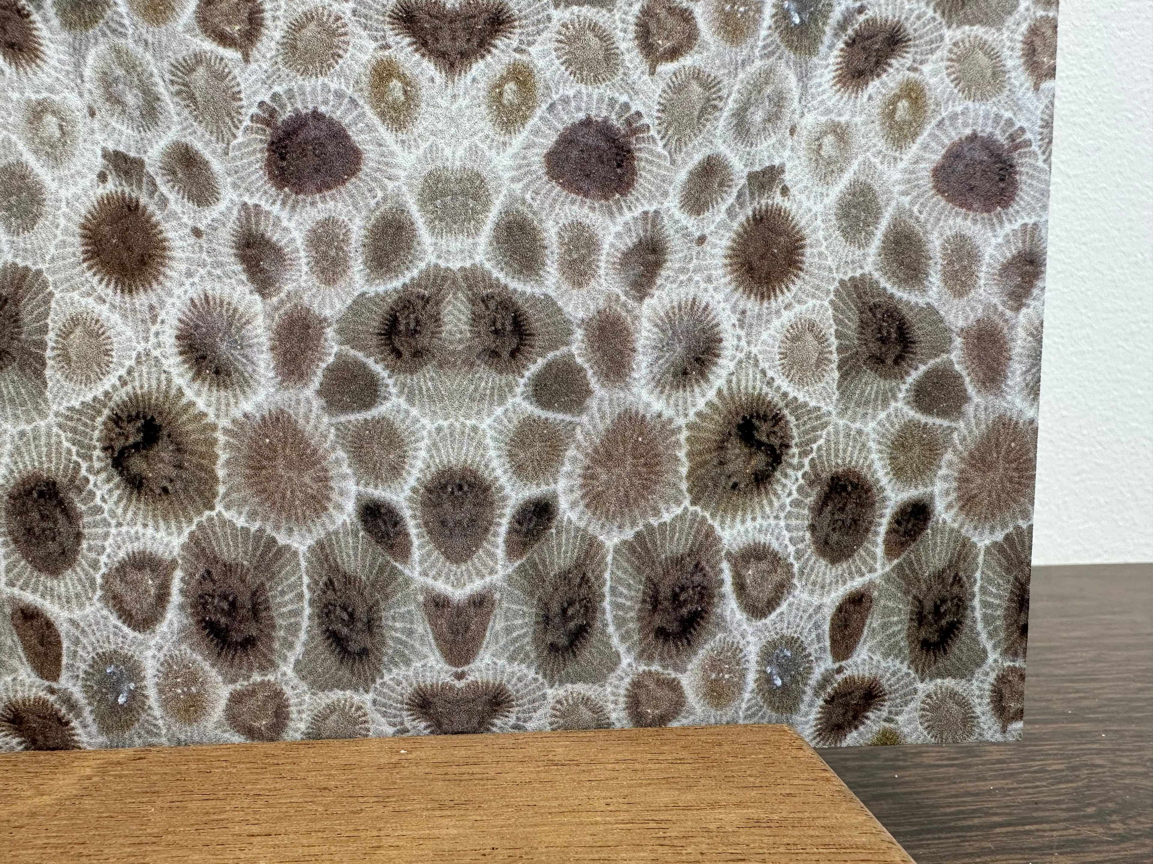 PatternPly® Full Coverage Mini Petoskey Stone sheet showing the pattern