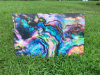 PatternPly® Full Coverage Abalone sheet showing the pattern