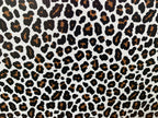 PatternPly® Full Coverage Black, White, and Brown Leopard sheet showing the pattern