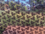 PatternPly® Scattered Bat Lace product photo 3