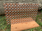 PatternPly® Scattered Bats, Skulls, and Jack o' Lanterns product photo 4