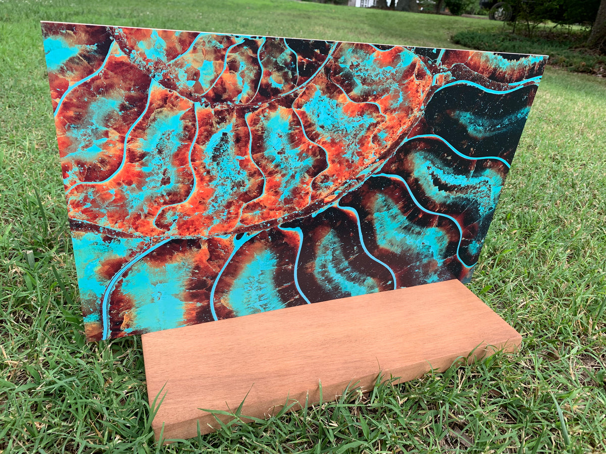 PatternPly® Full Coverage Ammonite Fossil product photo 3