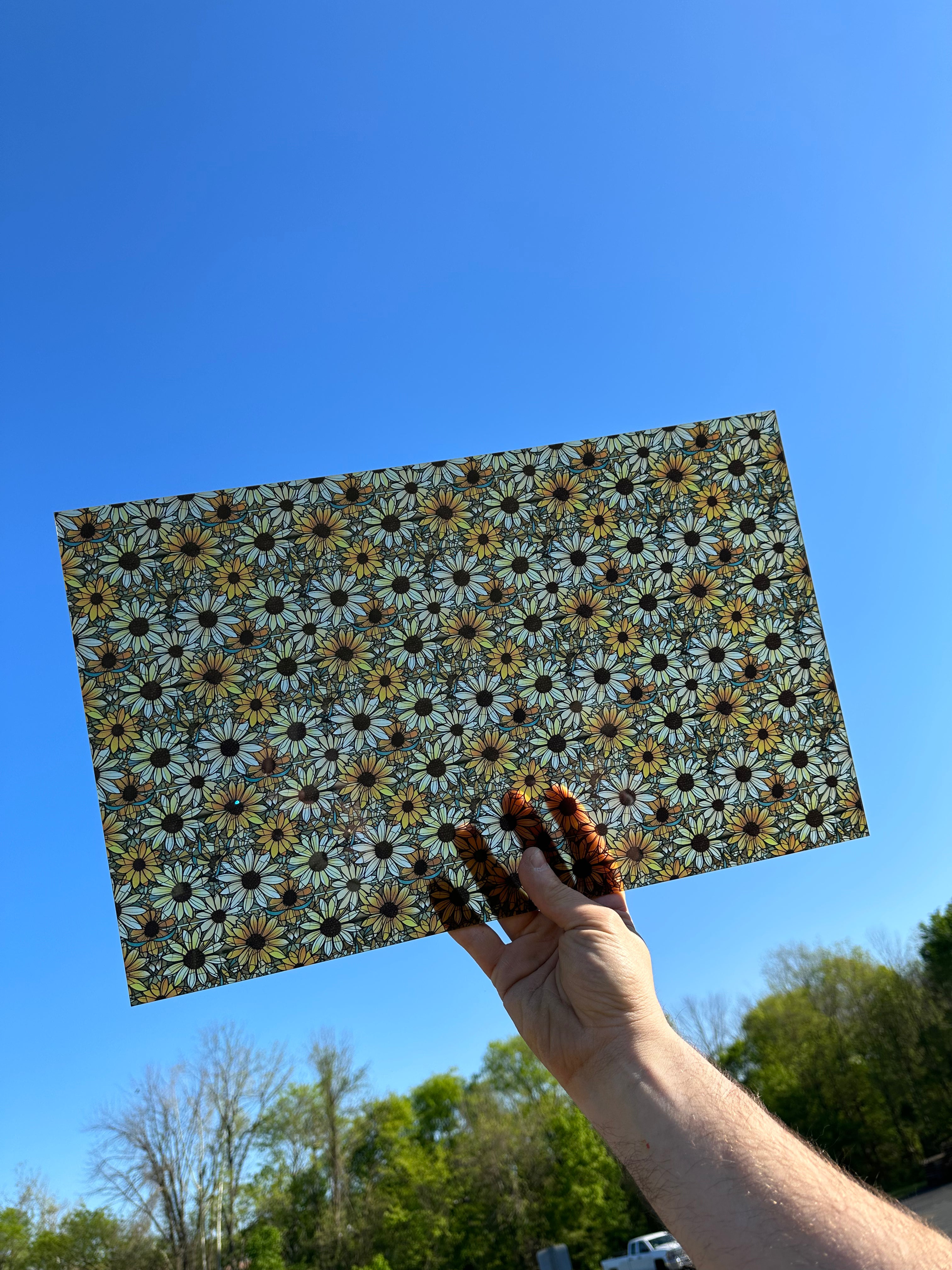 PatternPly® Transparent Black Eyed Susan Stained Glass sheet showing the pattern