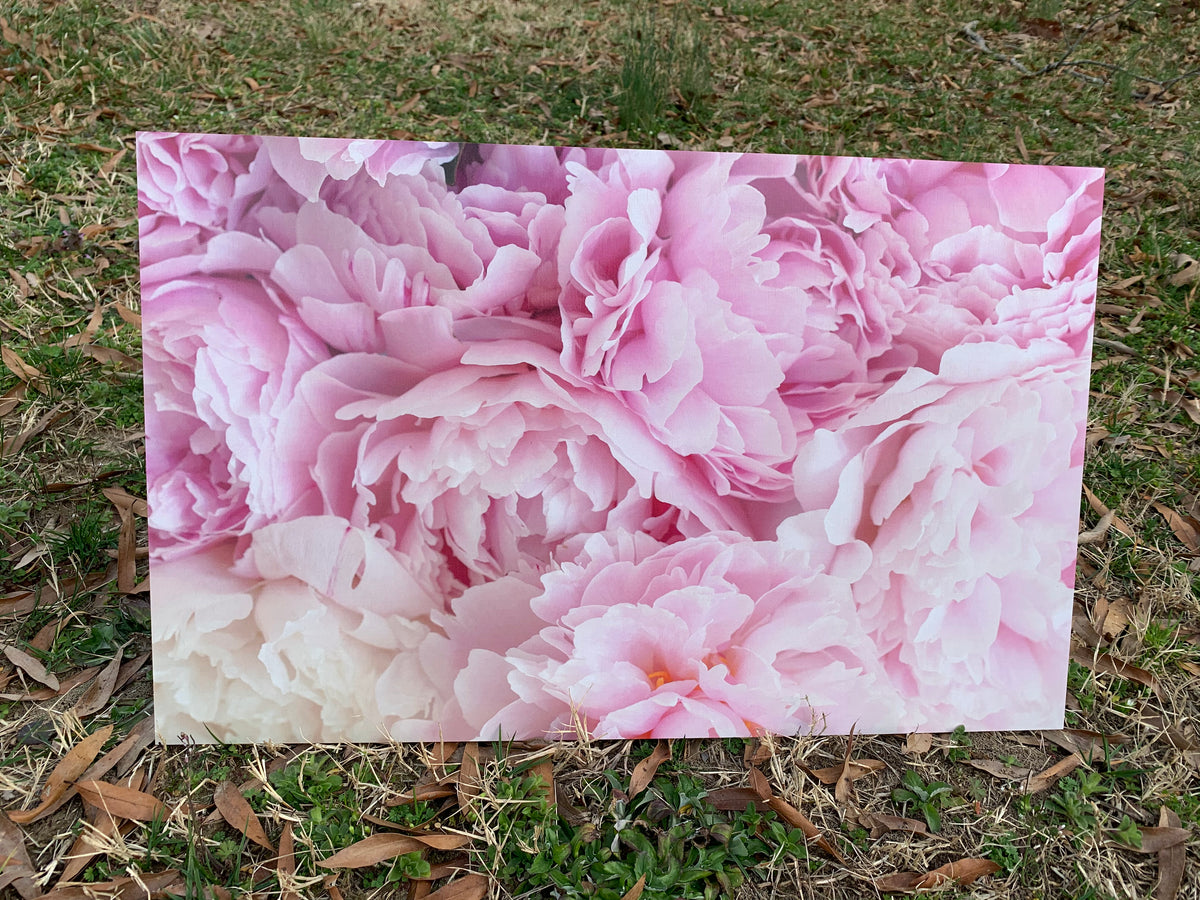 PatternPly® Full Coverage Peonies sheet showing the pattern