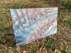 PatternPly® Full Coverage Mother of Pearl product photo 3