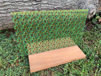 PatternPly® Scattered Bigfoot product photo 4