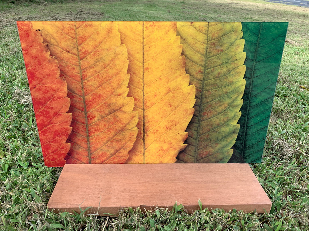 PatternPly® Acrylic Leaf Gradient, Two Sided on Clear