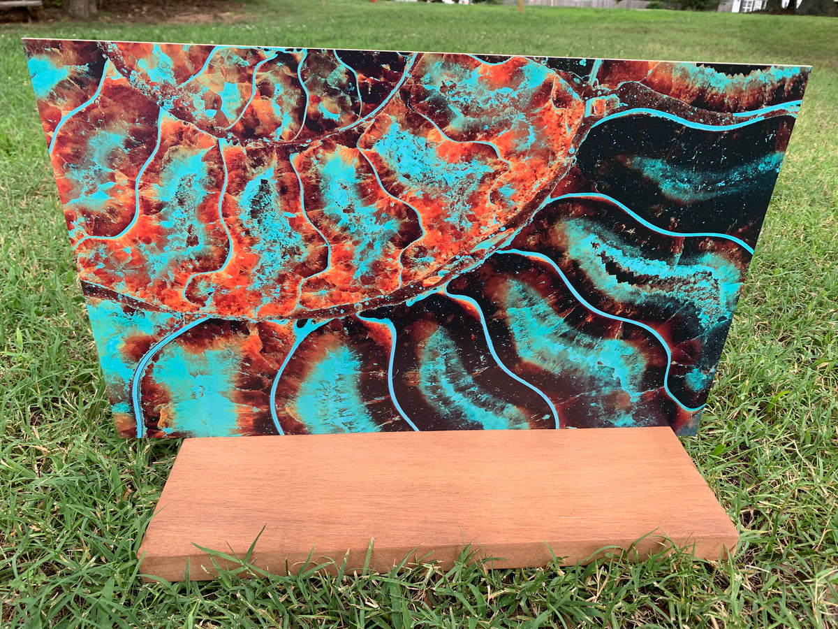 PatternPly® Full Coverage Ammonite Fossil sheet showing the pattern
