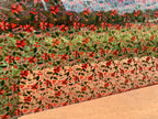 PatternPly® Scattered Pink and Red Poinsettias product photo 4
