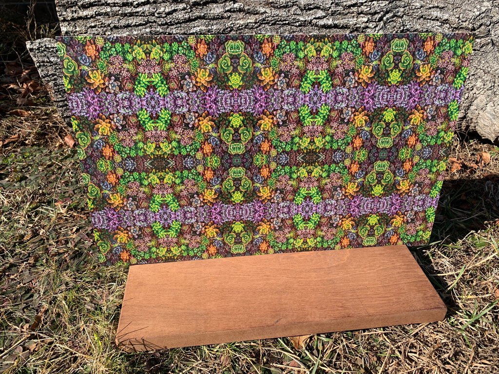 PatternPly® Full Coverage Micro Assorted Succulents product photo 4