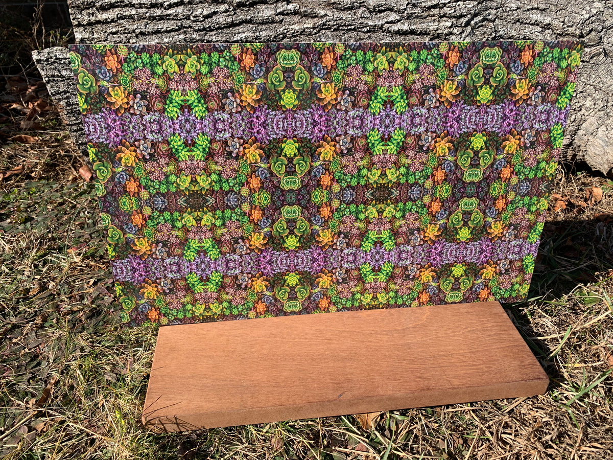 PatternPly® Full Coverage Micro Assorted Succulents product photo 4