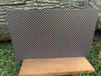 PatternPly® Full Coverage Death's-Head Moths product photo 3