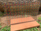 PatternPly® Scattered Gradient Butterflies product photo 2