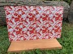 PatternPly® Scattered Micro Bloody Bandages product photo 3