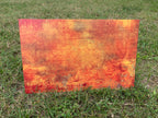 PatternPly® Full Coverage Fall Colors sheet showing the pattern