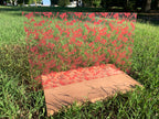 PatternPly® Transparent Blood Splatter product photo 2
