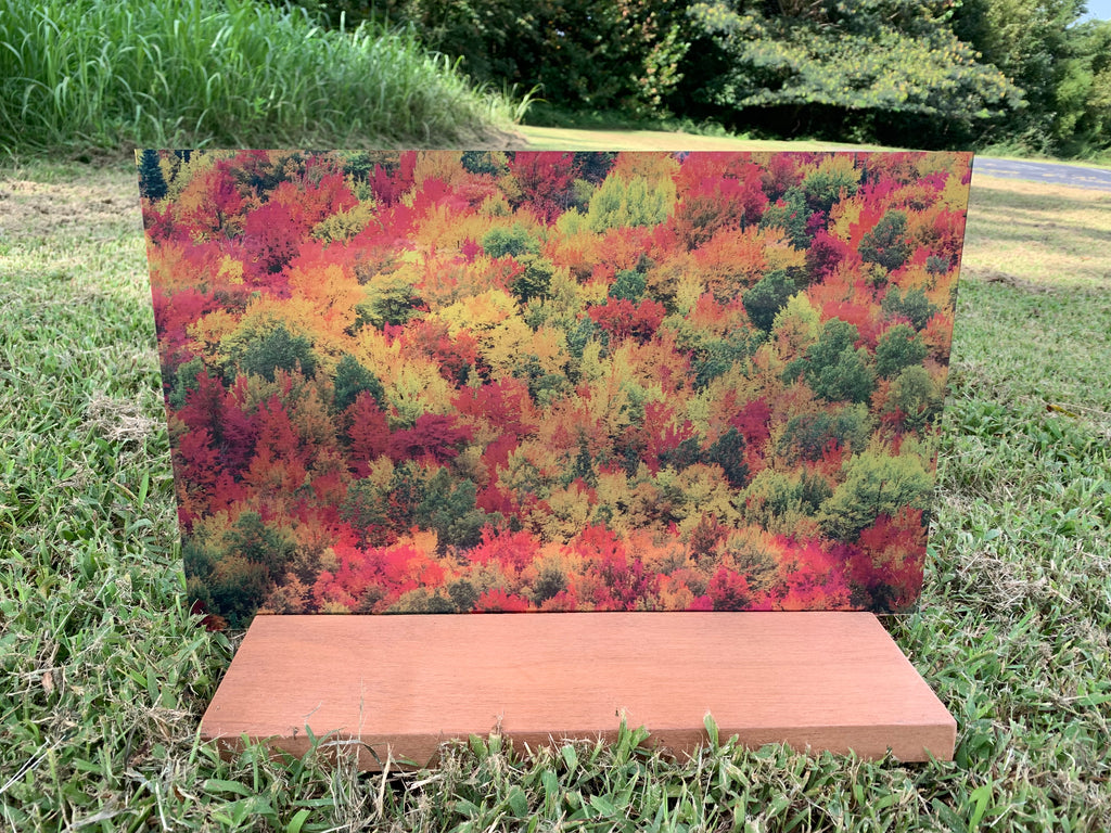 PatternPly® Transparent Fall Treetops sheet showing the pattern