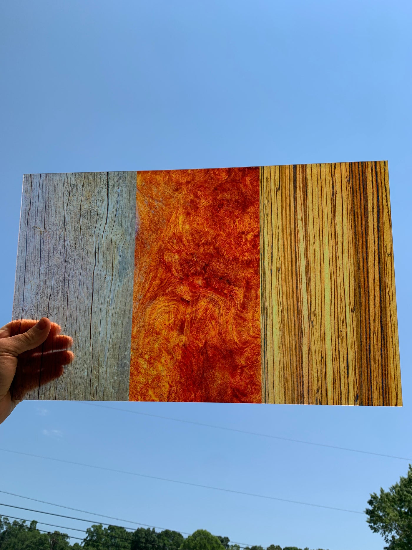 PatternPly® Acrylic Transparent Wood Sampler