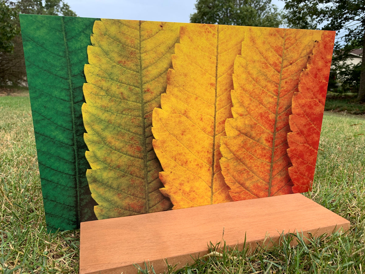 PatternPly® Full Coverage Leaf Gradient product photo 3